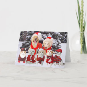 Customisable Funny Pets Christmas Card
