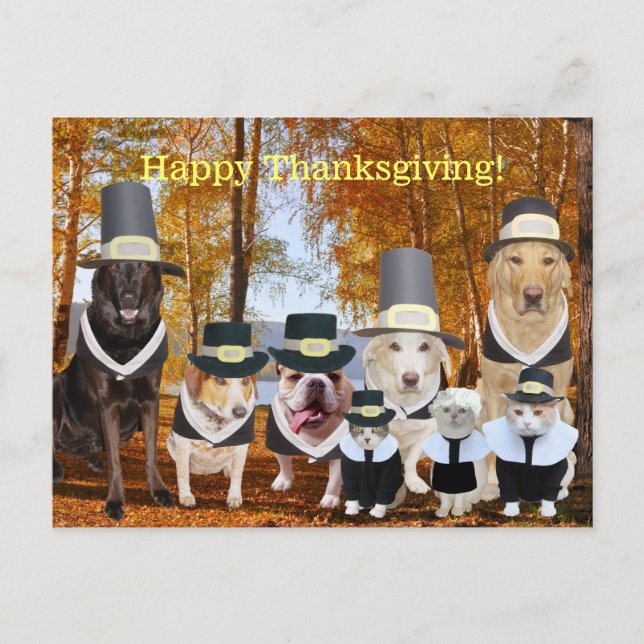 Customisable Funny Pilgrim Dogs Thanksgiving Post Holiday Postcard (Front)