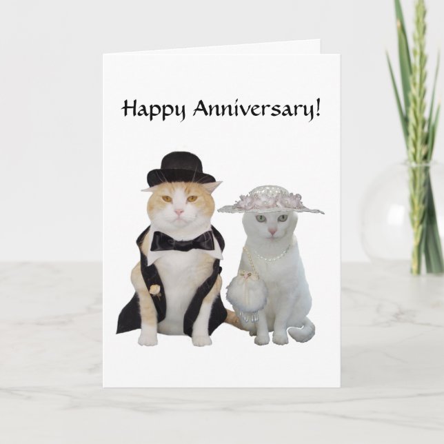 Customisable Funny,Pretty Cats/Kitties Anniversary Card (Front)