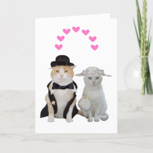 Customisable Funny, Pretty Cats Valentine Holiday Card