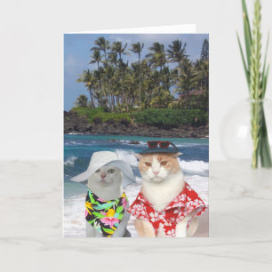 Customisable Funny Surfer Cats/Kitties Anniversary Card