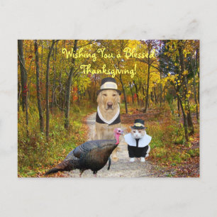 Customisable Funny Thanksgiving Postcard
