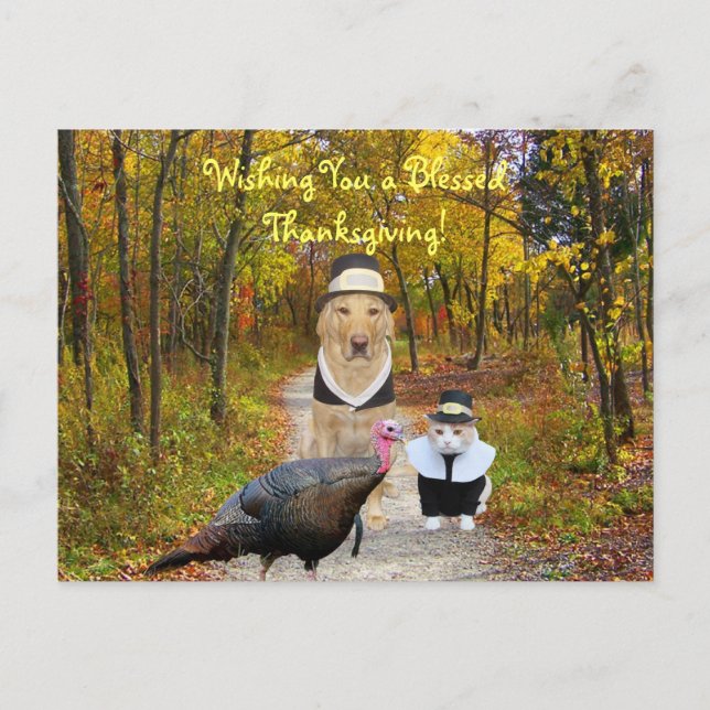 Customisable Funny Thanksgiving Postcard (Front)