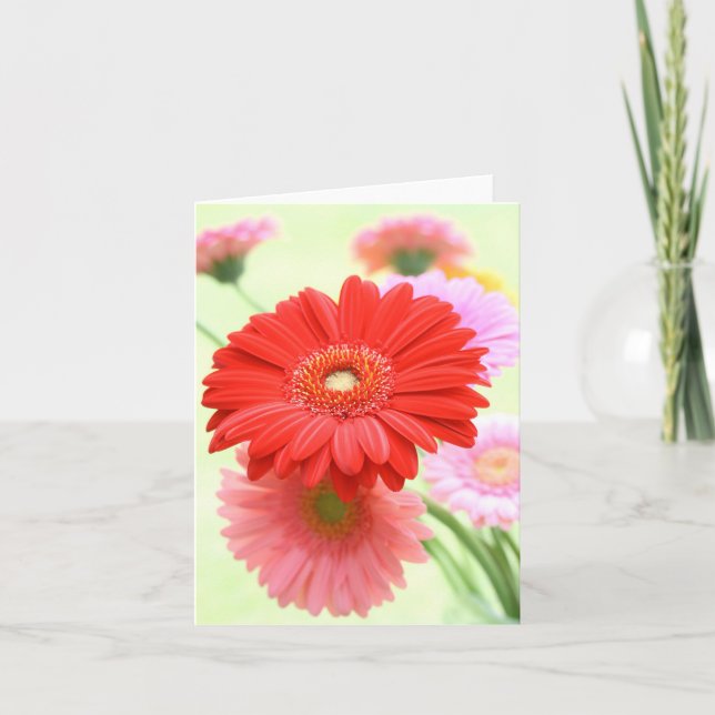 Customisable Gerber Daisies Card (Front)