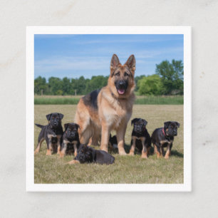 Customisable German Shepherd with Adorable Puppies Square Business Card