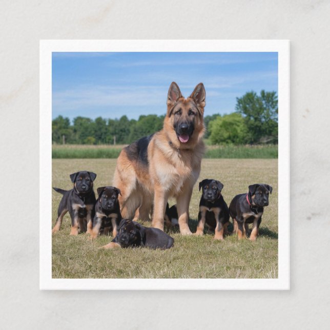 Customisable German Shepherd with Adorable Puppies Square Business Card (Front)