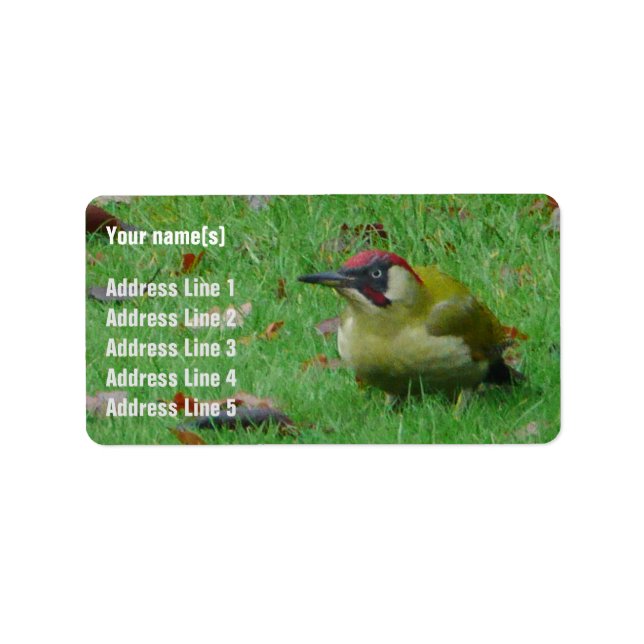 Customisable Green Woodpecker Address Labels (Front)
