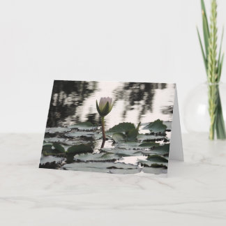 Customisable Greeting Card: Water Lily Photograph Thank You Card