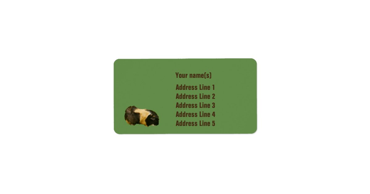 Customisable Guinea Pig Address Labels Zazzle