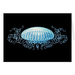 Customisable Haeckel Jellyfish