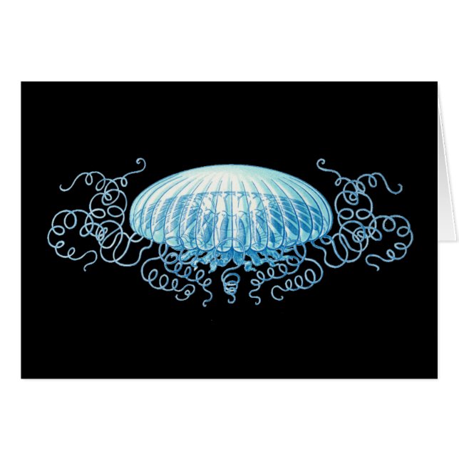 Customisable Haeckel Jellyfish (Front Horizontal)