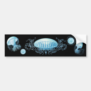 Customisable Haeckel Jellyfish Bumper Sticker