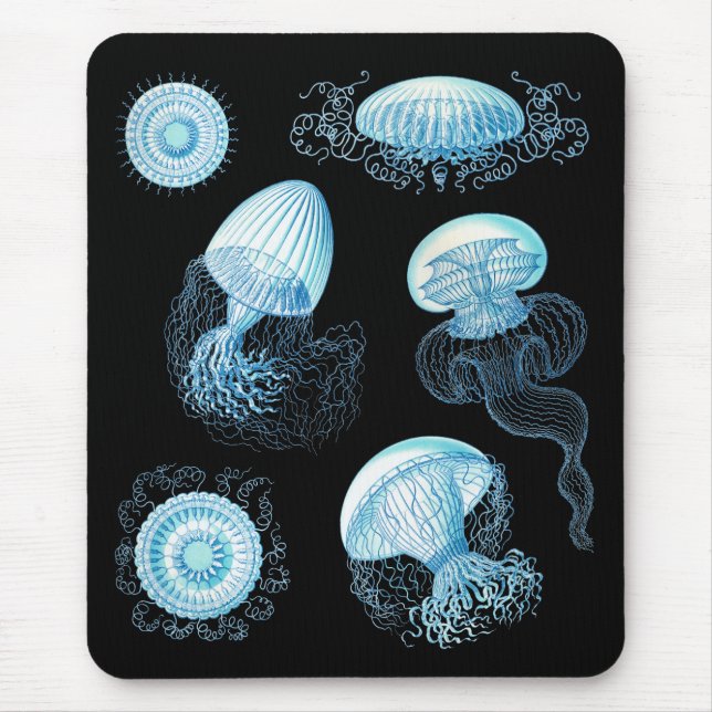 Customisable Haeckel Jellyfish Mouse Mat (Front)