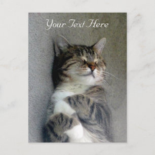 Customisable Happy Cat Post Card