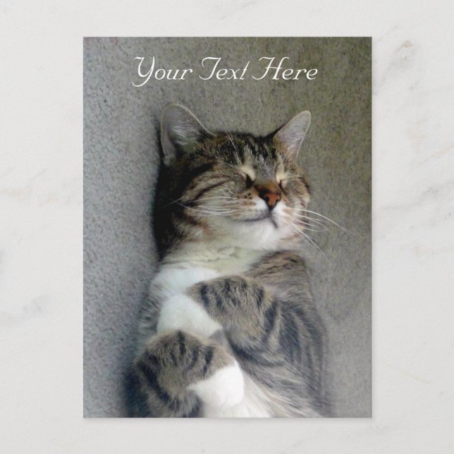 Customisable Happy Cat Post Card (Front)