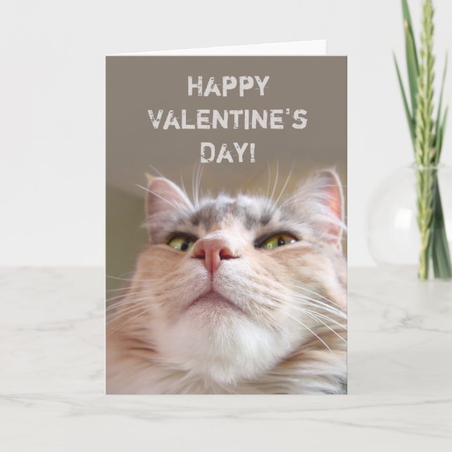 Customisable Happy Valentine's Day Holiday Card (Front)