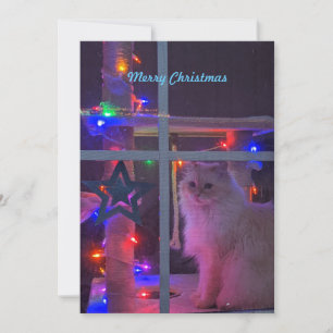 Customisable holiday card. card