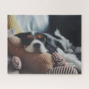 Customisable Horizontal Pet Photo Puzzle