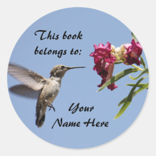 Customisable Hummingbird Sticker
