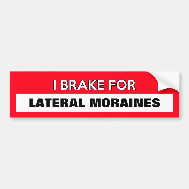 Customisable "I Brake For..." Bumper Sticker (Front)