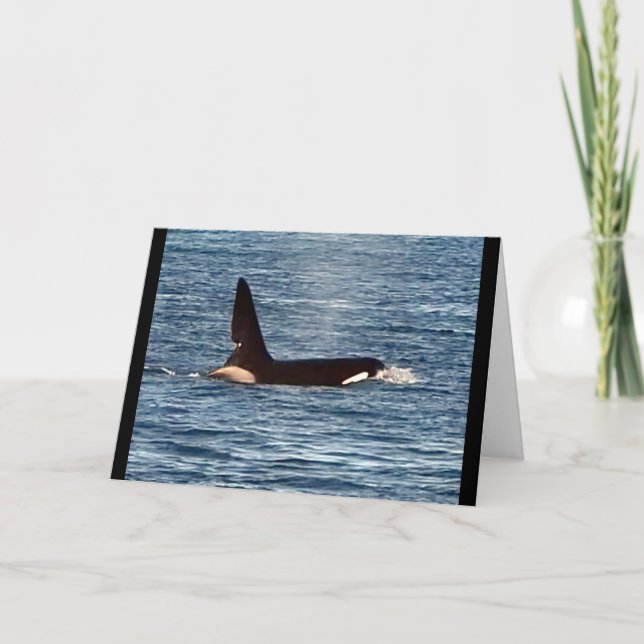 Customisable John Coe Killer Whale West Coast Orca Card (Front)