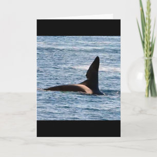 Customisable John Coe Killer Whale West Coast Orca Card