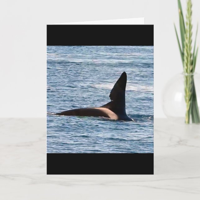 Customisable John Coe Killer Whale West Coast Orca Card (Front)