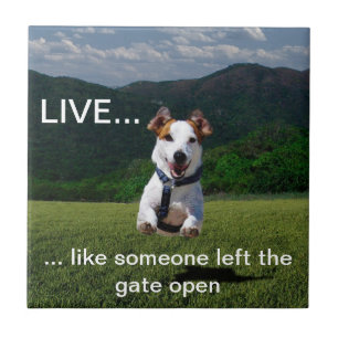 Customisable "Live Like Someone..." Tile