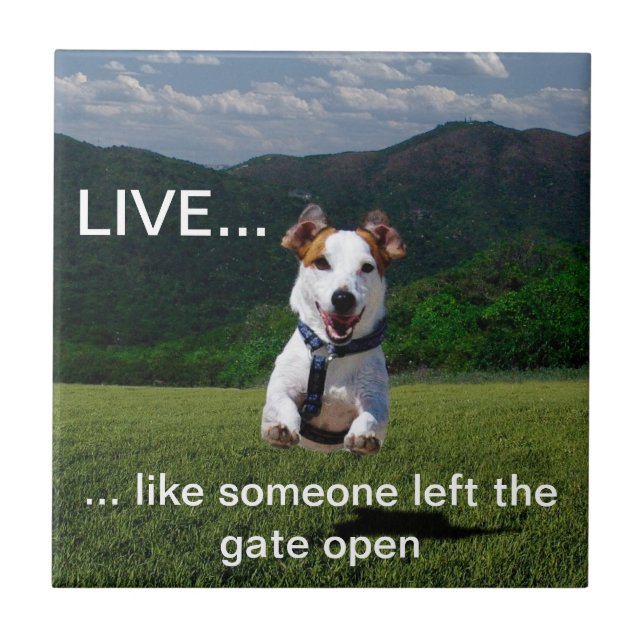 Customisable "Live Like Someone..." Tile (Front)