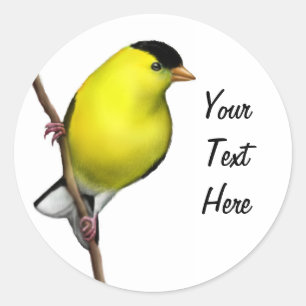 Customisable Male American Goldfinch Sticker