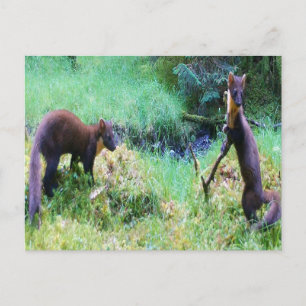 Customisable Mr & Mrs Pine Marten Date Night Holiday Postcard