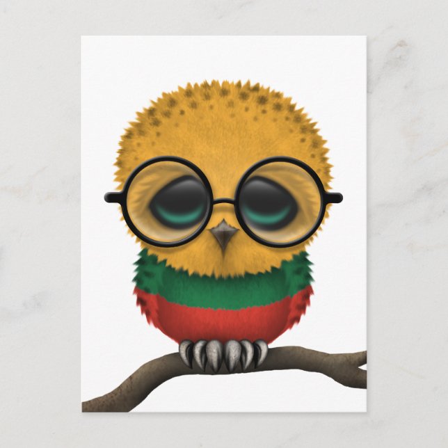 Customisable Nerdy Lithuanian Baby Owl Chic Postcard (Front)