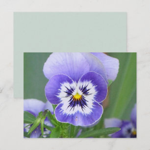 Customisable Pansy Postcard