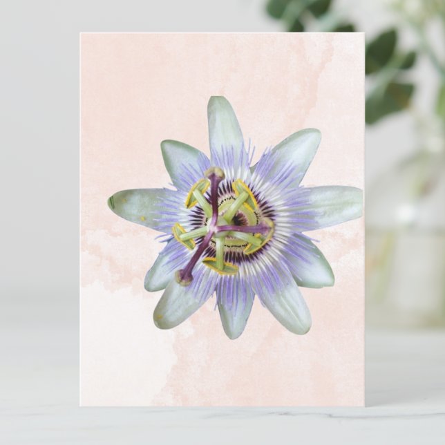 Customisable Passion Flower Postcard (Creator Uploaded)