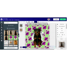 Customisable Pastel Pet Pop-out