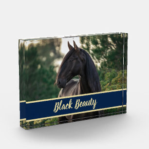 Customisable/Personalised Horse Photo w/ Show Name