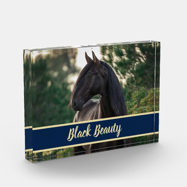 Customisable/Personalised Horse Photo w/ Show Name (Left)