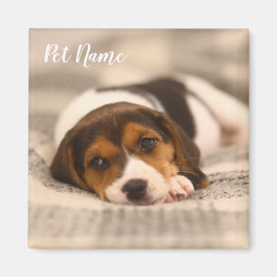 Customisable Pet Magnet with Photo and Name