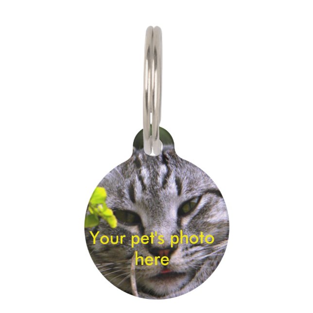 Customisable Pet Photo Tag (Front)