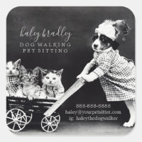 Customisable Pet Sitting Grooming Services