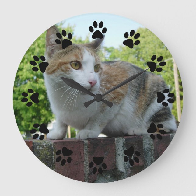 Customisable pet wall clock (Front)