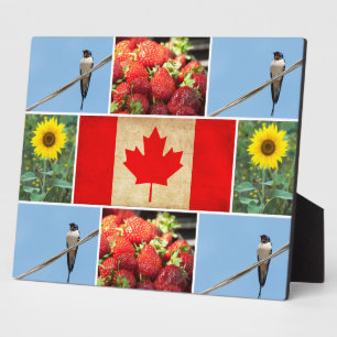 Customisable photo collage & Flag of CANADA Plaque