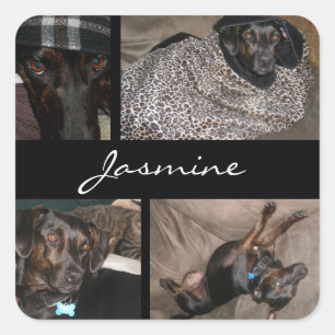 Customisable Photos Collage Monogram Dog Lover Square Sticker