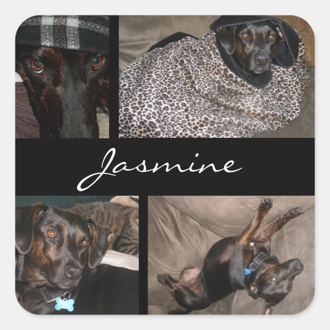 Customisable Photos Collage Monogram Dog Lover Square Sticker (Front)