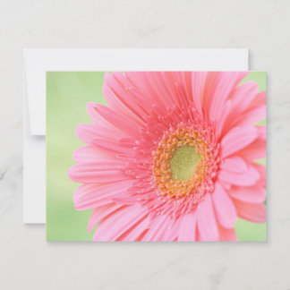Customisable Pink Gerber Daisy