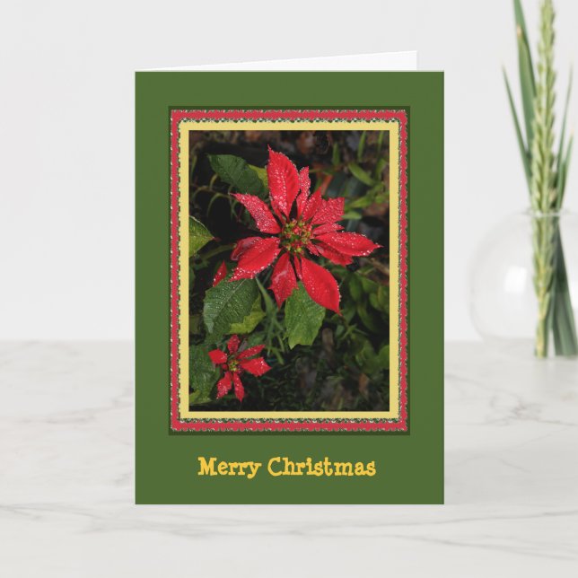 Customisable  Poinsettia Christmas Card (Front)