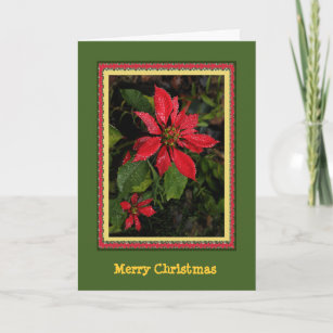 Customisable  Poinsettia Christmas Card
