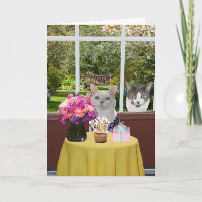 Customisable Pretty Cat Female Photobomb Birthday Card (Front)