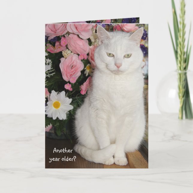 Customisable Pretty Cat Feminine Birthday Card (Front)