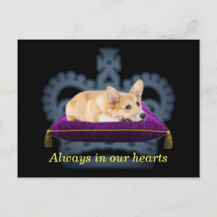 Customisable Queen corgi cushion crown Postcard